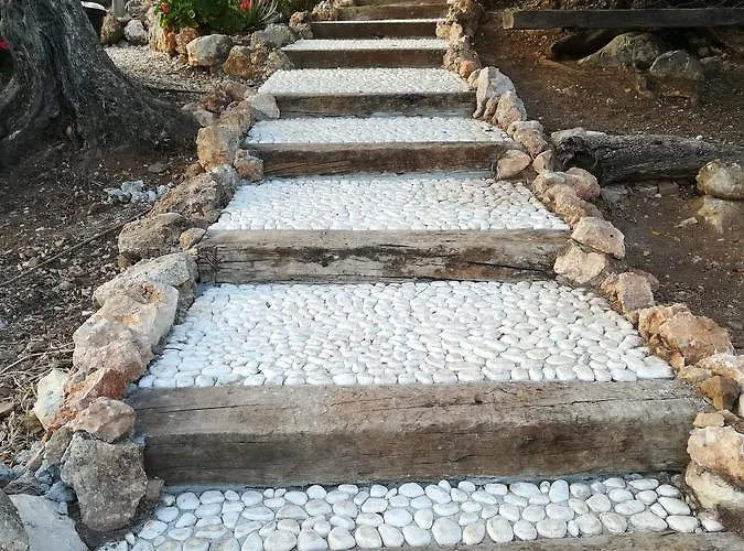 Guest house Olive Branch 4*